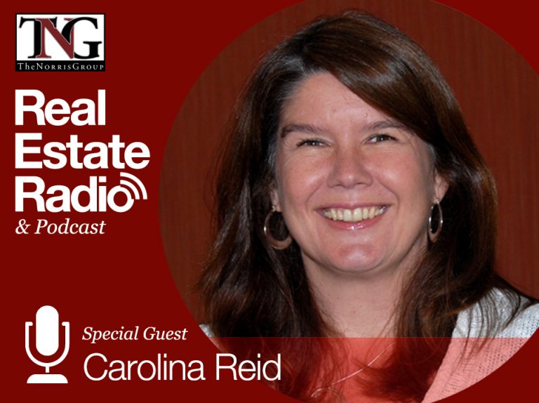 Carolina Reid Blog